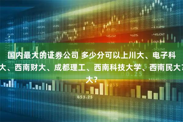 国内最大的证券公司 多少分可以上川大、电子科大、西南财大、成都理工、西南科技大学、西南民大？